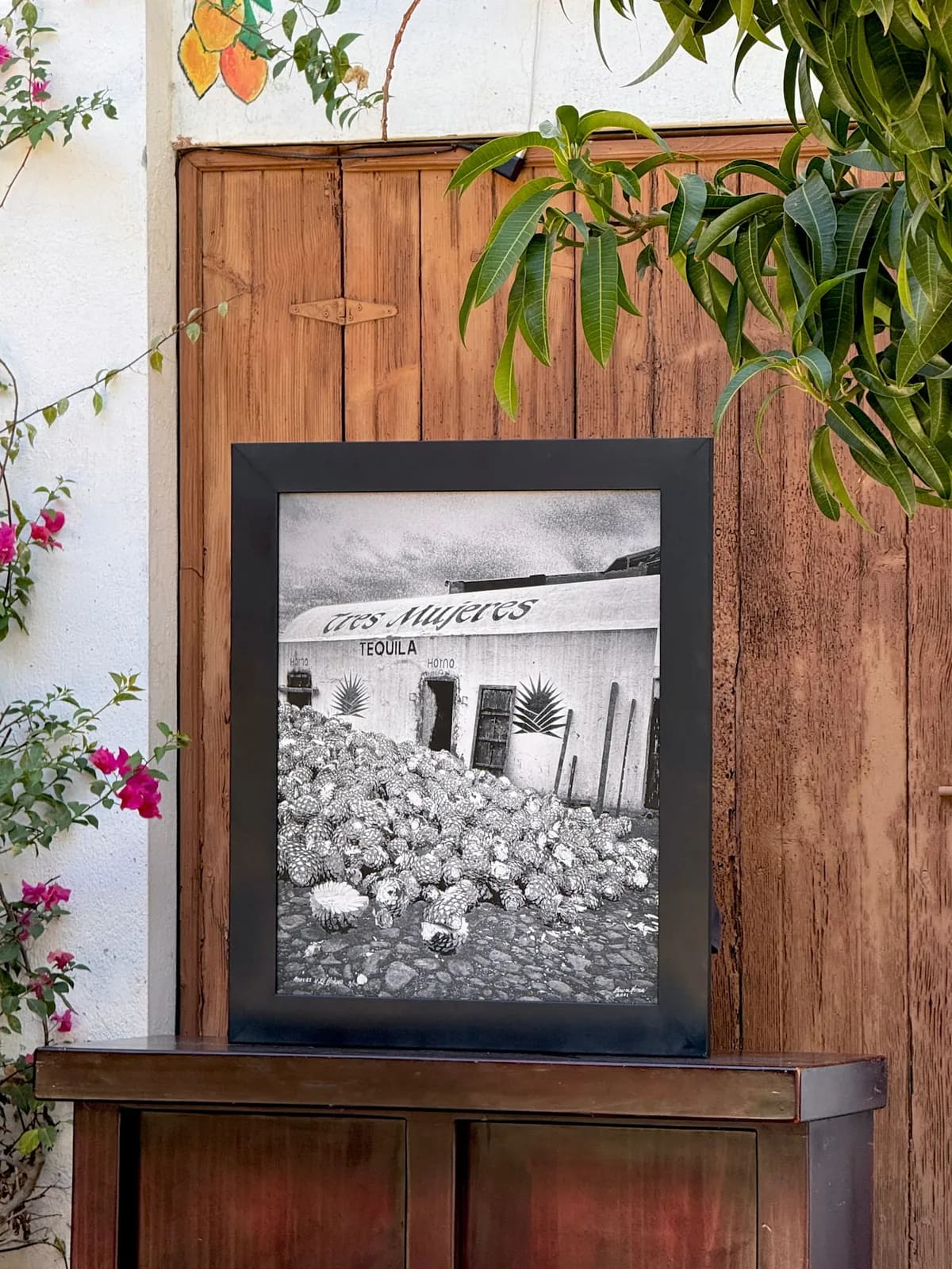 Agaves y el Horno Photograph by Bruce Herman – Framed black & white photograph by award-winning photographer Bruce Herman